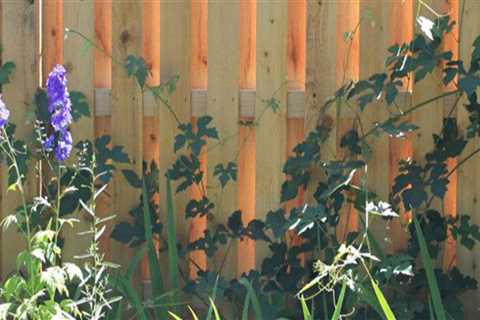 The Expert's Guide to Choosing a Durable Fence