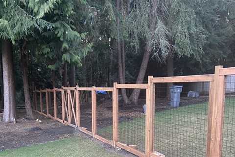 The Best Fencing Options for Dogs on a Budget