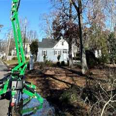 Transform Your Property: The Benefits Of Combined Tree Service And Groundskeeping In Albemarle..