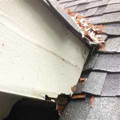 Repairing Roof Damage: DIY Vs. Professional