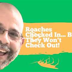 Effective Roach Control: One Week After Treatment – See the Results!