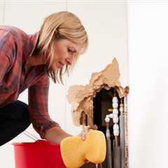 Toilet Repair Santa Cruz County, CA 