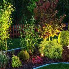 Brightening Up Portland: The Role Of Landscape Lighting In Tree Care And Aesthetics