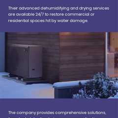 Swiss Water Damage Inspections & Drying Solutions For Commercial Properties in 2024 | Water..