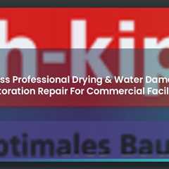 Swiss Professional Drying & Water Damage Restoration Repair For Commercial Facilities