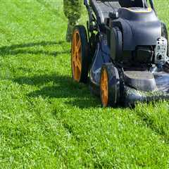 The Average Cost for Lawn Care Services: What You Need to Know