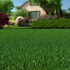 How To Protect Your Utah Lawn In The Summer