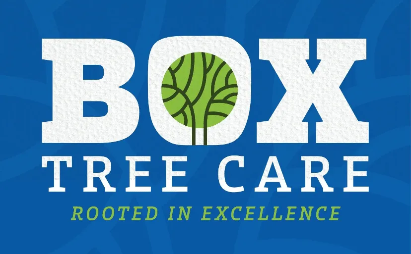 Privacy Policy - Box Tree Care