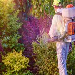 The Benefits of Seasonal Landscaping Services for Pest Control