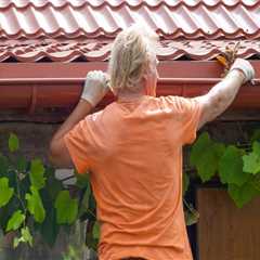 The Benefits Of Hiring Professional Gutter Cleaning Services For Your Round Lake, NY, Roof..