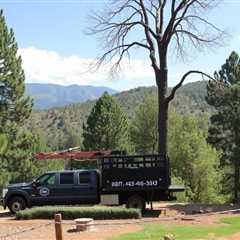 Tree Service Eagle Mountain UT 84005 Truco Services (801) 466-8044