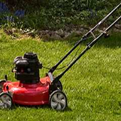 What lawn care should be done in the spring?