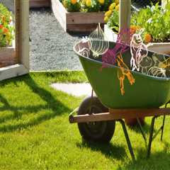 Planting and Maintaining a Vegetable Garden: Tips and Advice for Your Outdoor Living Space