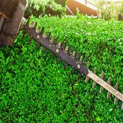 Efficient Use of Equipment and Resources for Landscaping and Tree Services