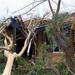 24/7 Emergency Response for Storm Damage or Fallen Trees