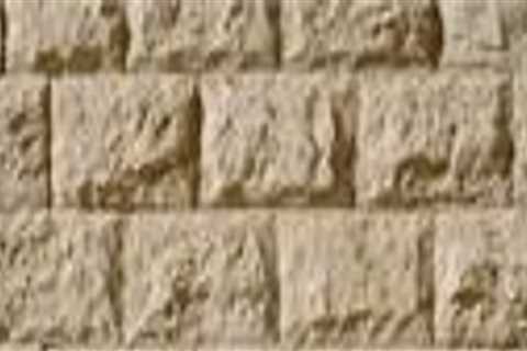 How Mold Removal Services Improve The Longevity Of Natural Stone Building Materials In South Salt..
