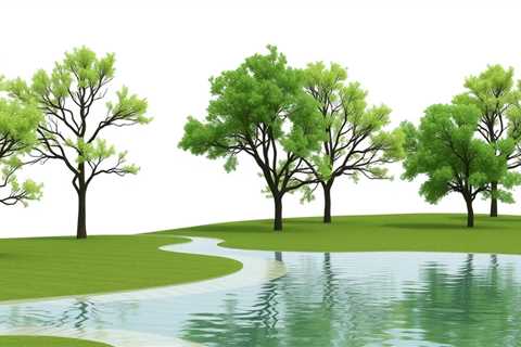 Trees And Water Absorption Taylorsville UT