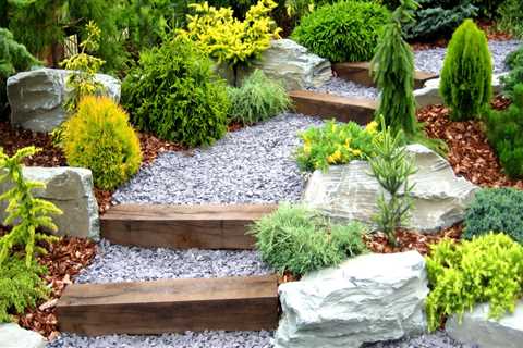 Low-maintenance landscaping options: Transforming your home and garden with ease