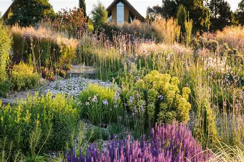 Creating a Sustainable Garden: Tips, Trends, and Design Ideas