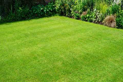 Lawn Care Services Made Easy: Achieve a Lush, Healthy Yard All Year Round