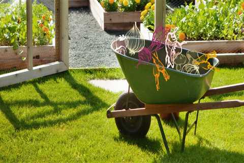 Planting and Maintaining a Vegetable Garden: Tips and Advice for Your Outdoor Living Space