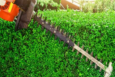 Efficient Use of Equipment and Resources for Landscaping and Tree Services