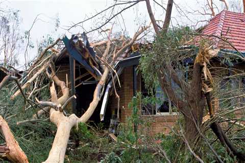 24/7 Emergency Response for Storm Damage or Fallen Trees
