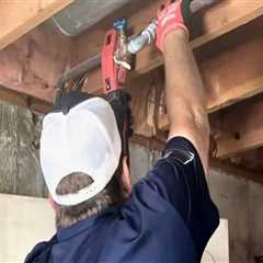 Why A Professional Plumbing Contractor Is Essential For Mold Inspection In Draper, UT
