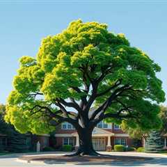 Considerations To Know About Tree Removal Salt Lake County Utah