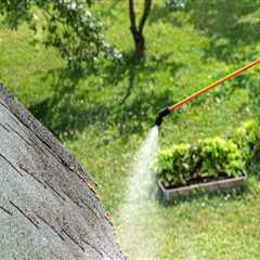 Extending the Life of Your Roof: Tips for Long-lasting Protection and Maintenance