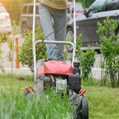 Protecting Your Lawn In Greenbelt, Maryland: How To Identify Pest Threats And Choose The Right Pest ..
