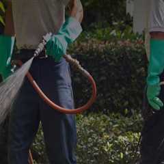 Benefits Of Hiring A Pest Control Service Provider With Expertise In Wildlife Removal In Charleston,..