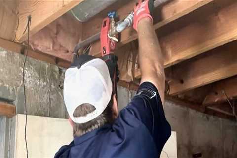 Why A Professional Plumbing Contractor Is Essential For Mold Inspection In Draper, UT
