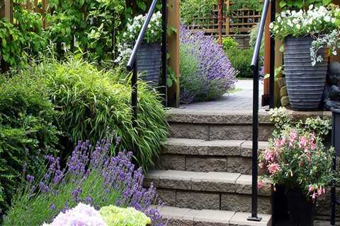 Watering and Fertilizing Plants for a Beautiful Outdoor Space