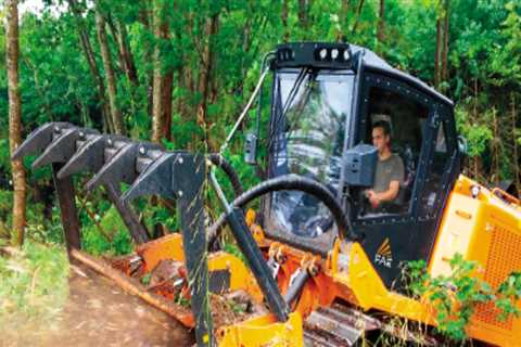 Why Forestry Mulching Matters In Modern Tree Removal Services In Austin