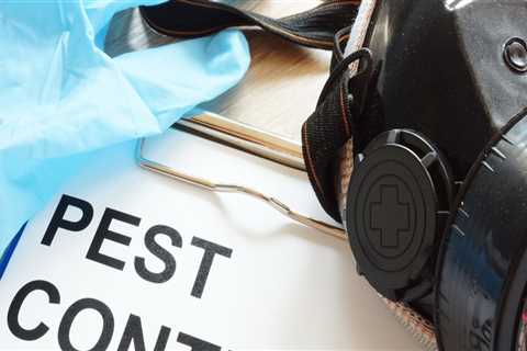 The Hidden Link Between House Cleaning And Effective Bed Bug Control In Manhattan