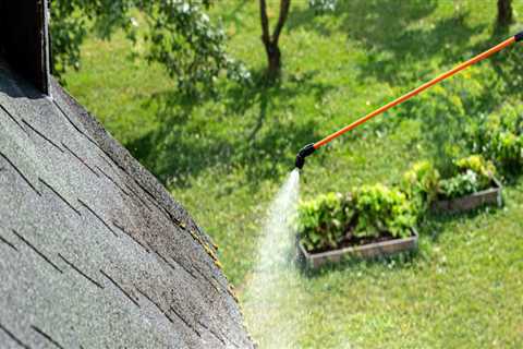 Extending the Life of Your Roof: Tips for Long-lasting Protection and Maintenance
