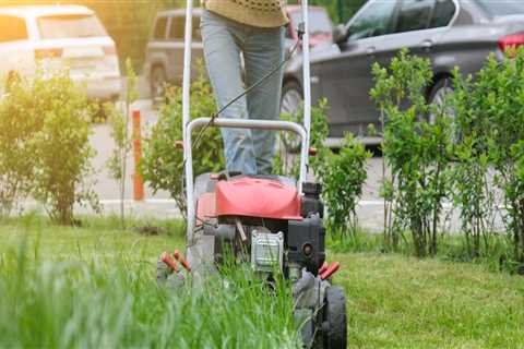 Protecting Your Lawn In Greenbelt, Maryland: How To Identify Pest Threats And Choose The Right Pest ..