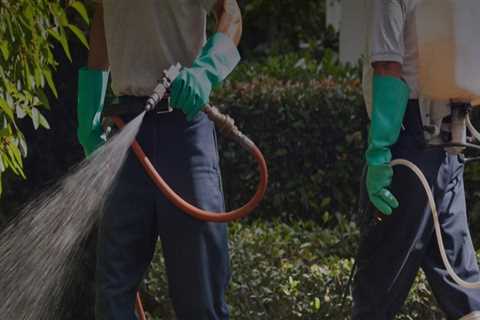 Benefits Of Hiring A Pest Control Service Provider With Expertise In Wildlife Removal In Charleston,..