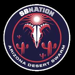 PaintBuddyCo Profile and Activity - Arizona Desert Swarm