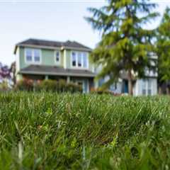 Grass Cutting Service: The First Step To Effective Presale Home Renovations In Oregon