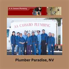 Plumber Paradise, NV