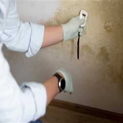 Is Your Home at Risk? The Importance of Scheduling a Mold Inspection