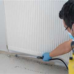 Healthy Roots, Healthy Lawn: Pest Exterminator Services For Successful Grass Seed Establishment In..