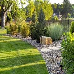 Keep Your Landscaping Trees Healthy Year-Round With A Winter Garden Irrigation Contractor