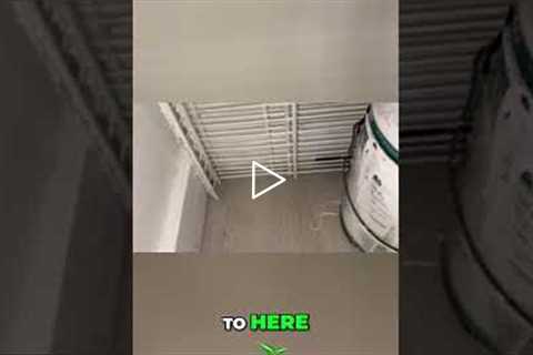 Why Roaches Hate Air Conditioning