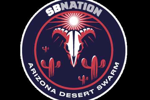 PaintBuddyCo Profile and Activity - Arizona Desert Swarm