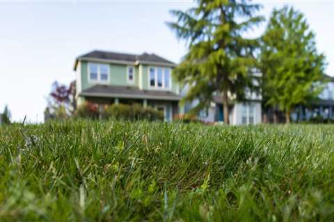 Grass Cutting Service: The First Step To Effective Presale Home Renovations In Oregon