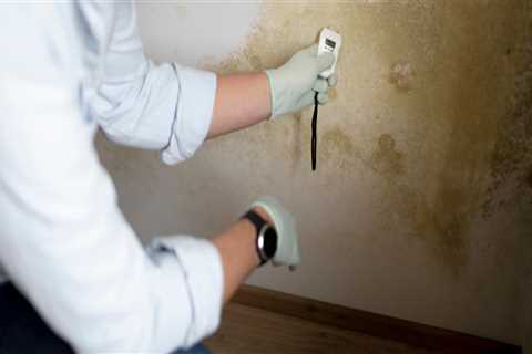 Is Your Home at Risk? The Importance of Scheduling a Mold Inspection