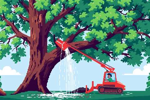 What Season Is Best For Tree Removal?